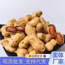年新炒卖原味炒花生代发农家铁锅炒熟花生带壳新鲜炒红皮花生