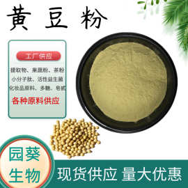 黄豆粉99% 黄豆生粉黄豆豆提取物喷雾干燥1kg起订 品类齐全