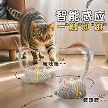 猫咪玩具老鼠会跑电动逃跑仿真小老鼠兔子耐抓可充电逗猫玩具逗狗