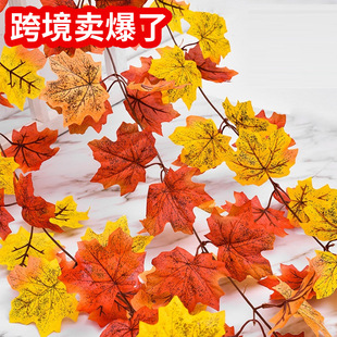 ����t���~���~���ϻ����~�f�}�����}�����쾰�������b���