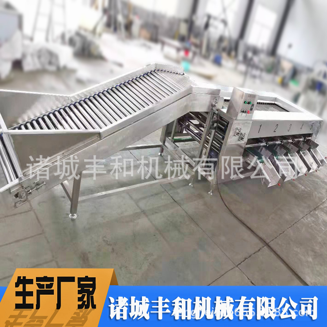 蔬菜农产品大小分级机 胡萝卜分级机 土豆分级机 番薯香芋分级机