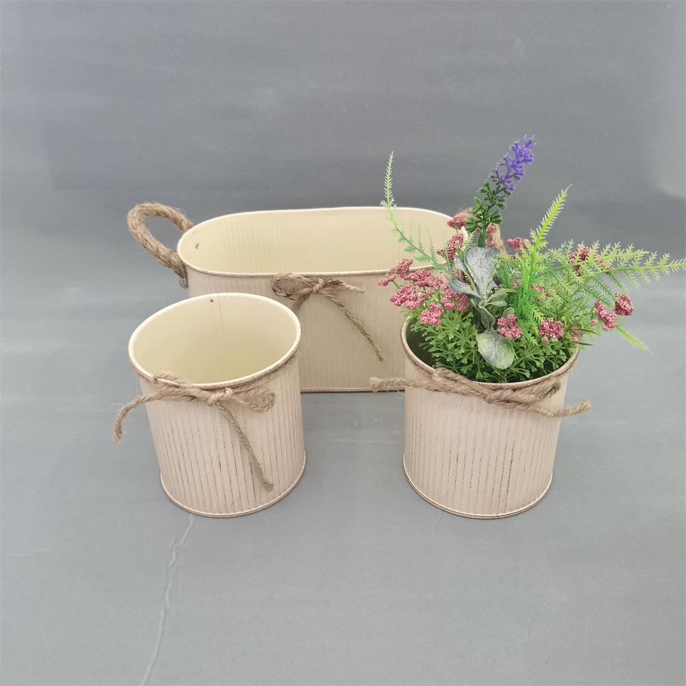 QQ图片20231205143525