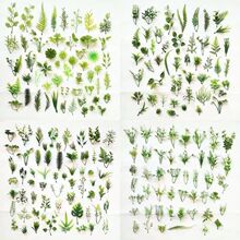 �W�t�޹��~����ˮ�ݷ���ݷ��滨����Gֲ�b[�P�~�Ӽٲ�С�ٻ�