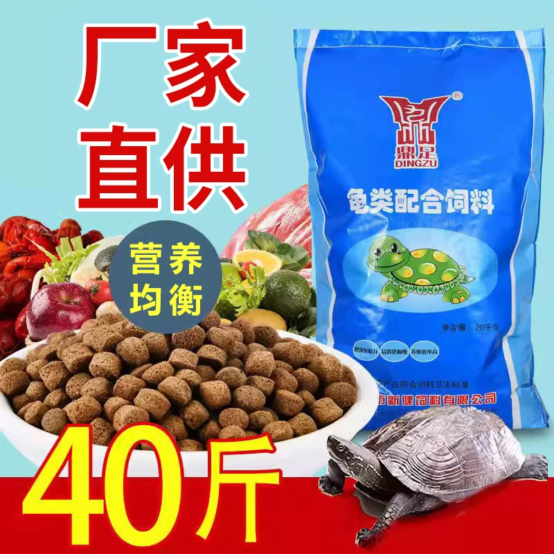 Dingzu черепаха еда черепаха еда хэтчлинг бразильская черепаха черепаха храпающаяся черепаха вода черепаха домашнее животное черепаха открытая еда ферма черепаха еда
