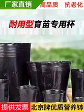 �I�B���I�B�����籭�������ɫ�I�B���Ӻ��ɫһ�������ϱ���̖