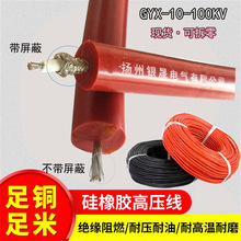 GYX6-100KV���θ߉�������2.5ƽ���~оܛ��|�͸ߜؽ^��ԇ�S��