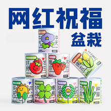 ֲkҾGֲС҃惺ͯN^wä