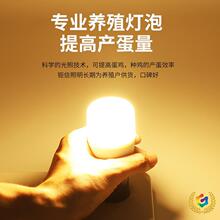 ?uledBֳBֳůE27;ßӿǧ