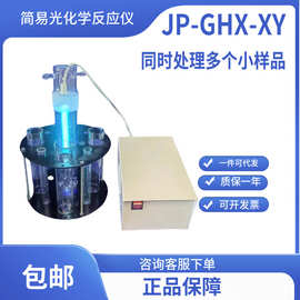 光化学反应器/光催化汞灯/氙灯/金卤灯JP-GHX-XY同时处理多个样品
