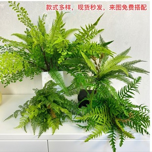 �߷�ާ�ֲ���Ų�ާ�˹��ֲ��ާ�~ާ��ܛ�zֲ���˹�~�~βާ