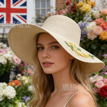 2026�¿�̽�����ñŮ������ꖷ���ɳ��ñ�W���羳���ۯB����ñ��