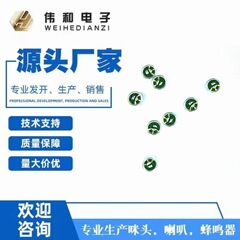 9750 シングルポイントコンデンサーマイク、クリアな忠実度、良好な復元精度、底なしノイズ、一貫性