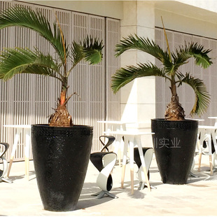 �I���V���e�����^�߶˕r�к�ɫ���^�������G���b���ꐻ��׻���