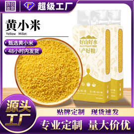 【工厂】黄小米真空包装杂粮小米多规格可选杂粮新老包装随机发