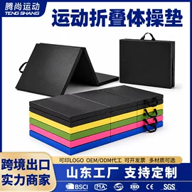 体操/运动垫;体操用品;其他健身器材