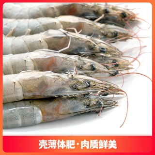 定制白虾厄瓜多尔各种规格代发白虾对虾青虾批发定制甄选大虾海鲜