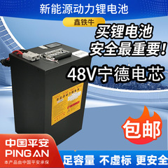 寧徳三元リチウム60v50a電動車用リチウム電池72vリン酸鉄48v二輪車用バッテリー長寿命高容量