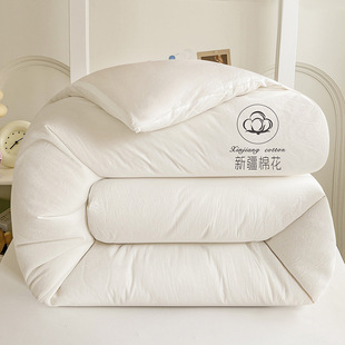 Cotton Quilt Winter Thick Washed Cotton Warm Quilt Core Type a Maternal and Infant Grade Pure Cotton Double Quilt Core Cotton