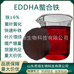 eddha�����F�F6  eddha�F 6%  �F�� ֲ���a�F eddha�����F