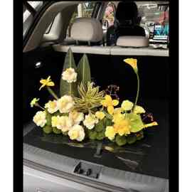 小红书新款餐桌花桌花定、制绢布报春花编织装饰其他通用