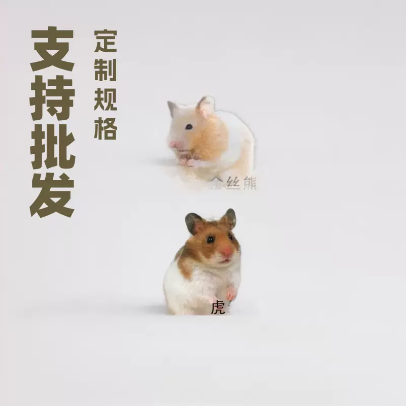 小仓鼠活物已疫苗活体一对仓鼠笼紫仓银狐布丁金丝熊宠物健康保障