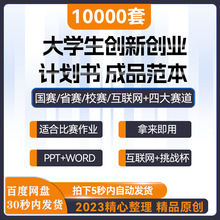 商业大学生策划创新创业项目计划书wordPPT模板互联网范文版方案