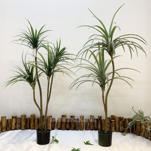 �S�ҹ�������Gֲ���Ե��m�ݷ���Ꭷ�ݘ��҃�����b����b��Ѫ��