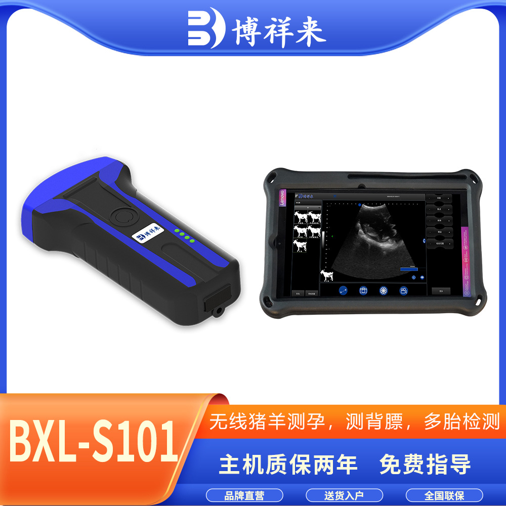 无线猪羊B超测孕仪 母猪背膘仪 手持式一键测背膘B超机