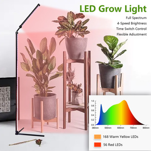 LEDȫ���V�����_���Y��ֲ�����L�a������{���Ƕȷ�λֲ�����L��