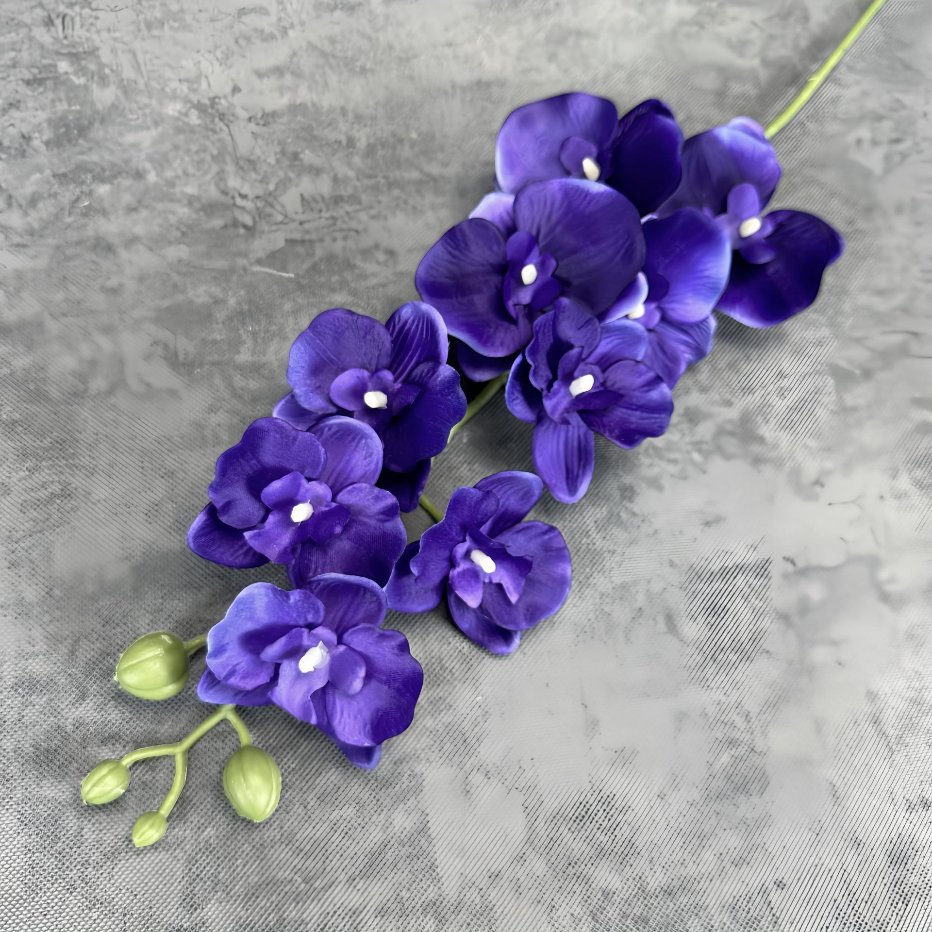 Morado oscuro