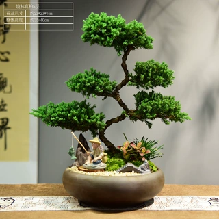 五层真柏造型盆景办公室内客厅绿植盆栽好养四季常青礼品摆件装饰