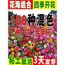 ҰMͺNӲ˹հղ̫ꖻļ_ͥԺ׷N