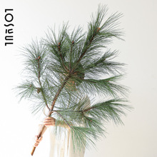 �Rβ���r�д����r����ֲ֦��С��Ұ������ֲ��ˮ��Gֲ�}�Q��S