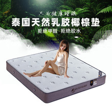 ϯ��˼���|�Ƶ� ����Ҭ�ش��|���z���| 1.2M���|1.5M�p�˴��|���l