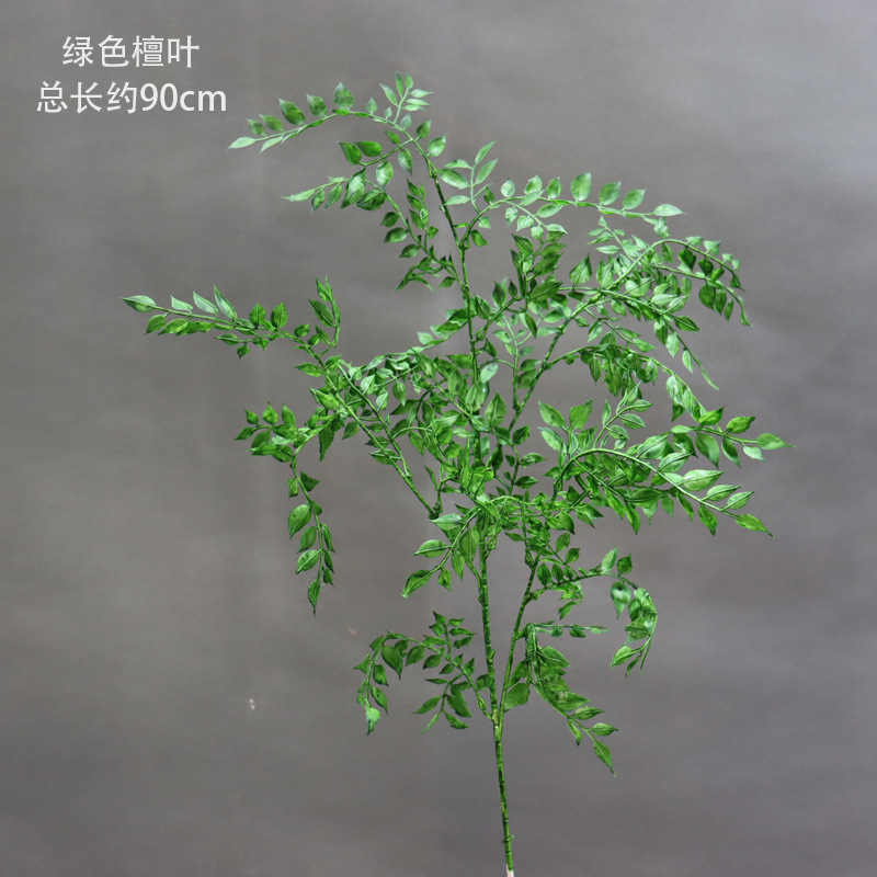 Hoja de sándalo verde