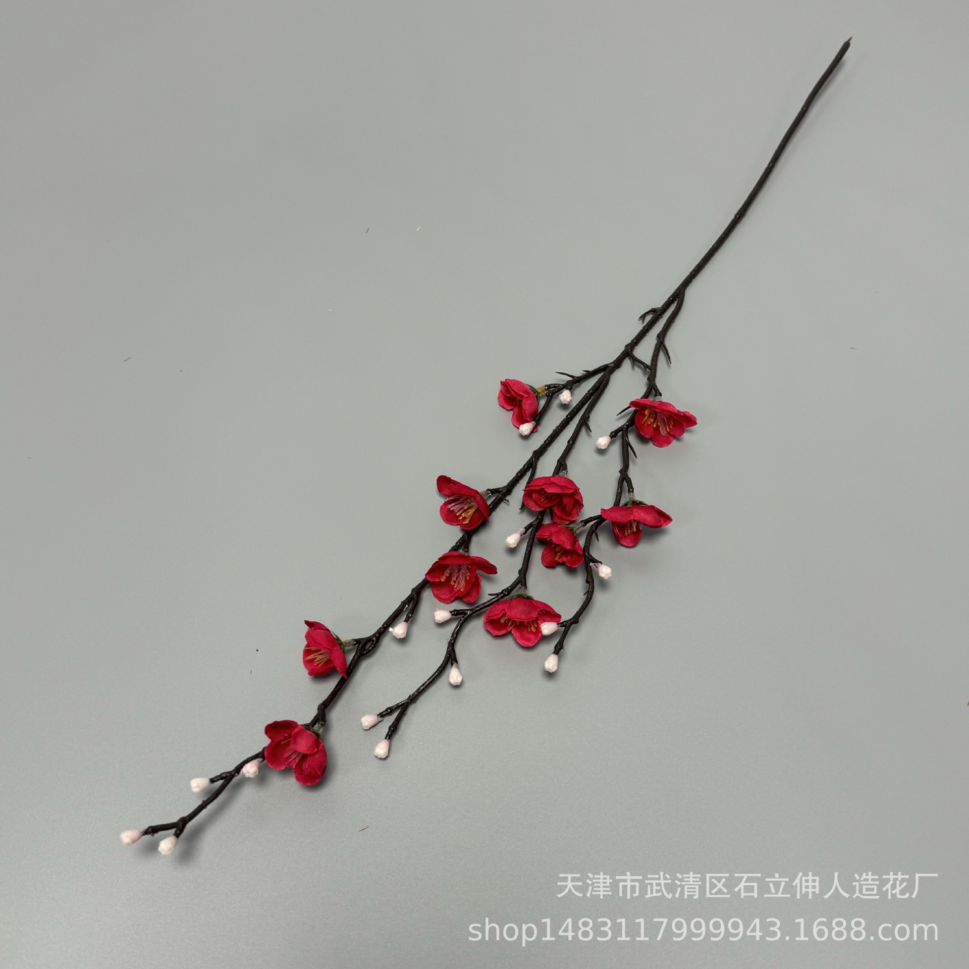 미니 로즈 레드