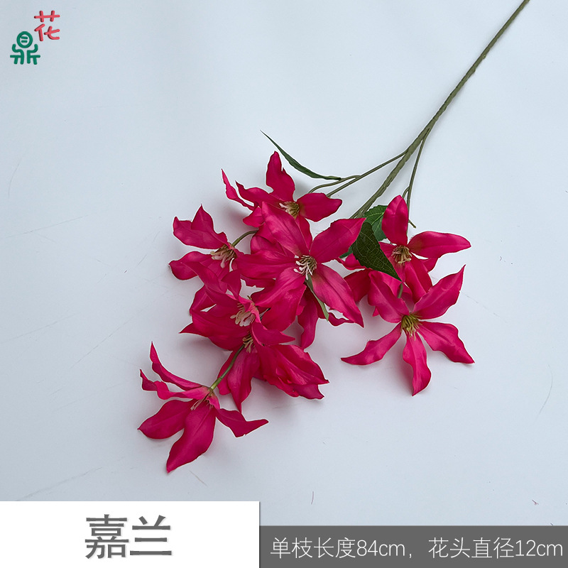 가란 Y 로즈 레드