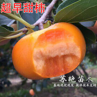 �������� 818�������� ���������Ӽ޽��� �������Ә��箔��Y��