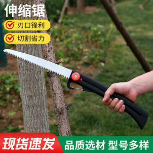 �ӹ�������s䏺Ͻ�䓈@��ľ��֦���������ʡ���ֹ���s����l