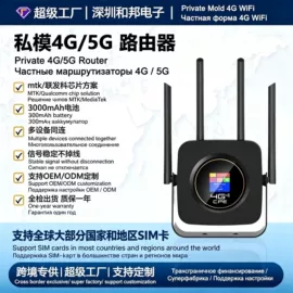 路由器;智能网络设备;其他无线网络