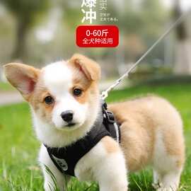 狗狗牵引绳狗链反光背心胸背带狗链子狗绳子遛狗绳小型犬泰迪用品