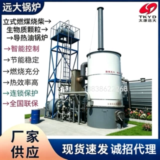 厂家直销 立式生物质导热油锅炉燃煤两用全自动 化工食品烘干专用