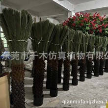 �����F�����ԾW�t�پGֲ�͏d�b[��С�K�F�҃Ⱦ��^�����辰���