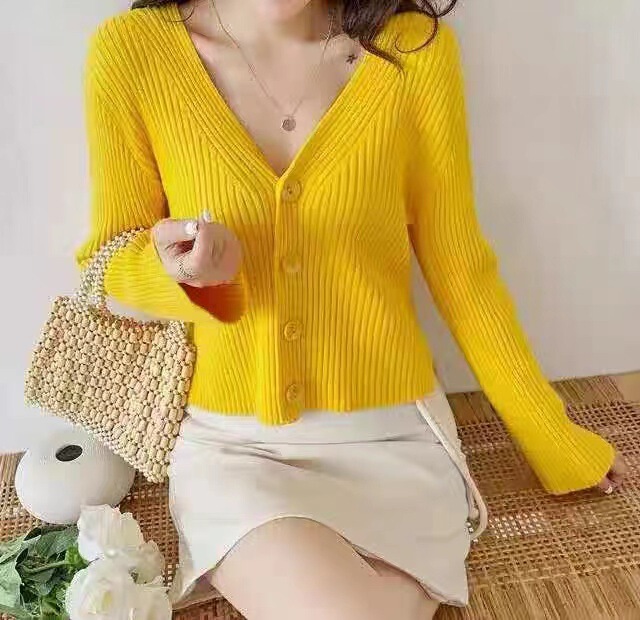 Autumn New Style Knitted Cardigan Women's Slim-fitting Bottoming Shirt Long-sleeved Inner Layer Slimming Look Sweater Outer Jacket Export Wholesale Autumn New Style Knitted Cardigan Women's Slim-fitting Bottoming Shirt Long-sleeved Inner Layer Slimming Look Sweater Outer Jacket Export Wholesale