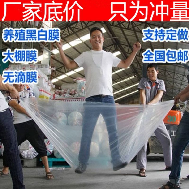 油布塑料布加厚大棚膜透明布防尘塑料薄膜保温农用封窗塑料纸批发