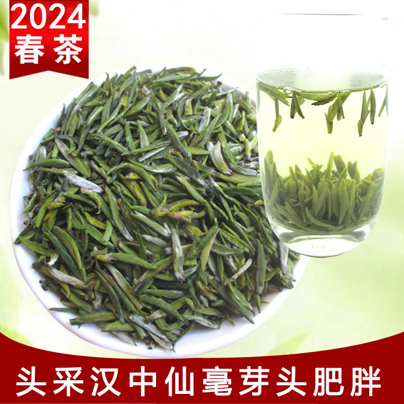 厂家批发2025年汉中仙毫 新茶头采午子仙毫 绿茶陕青毛尖茶叶500g