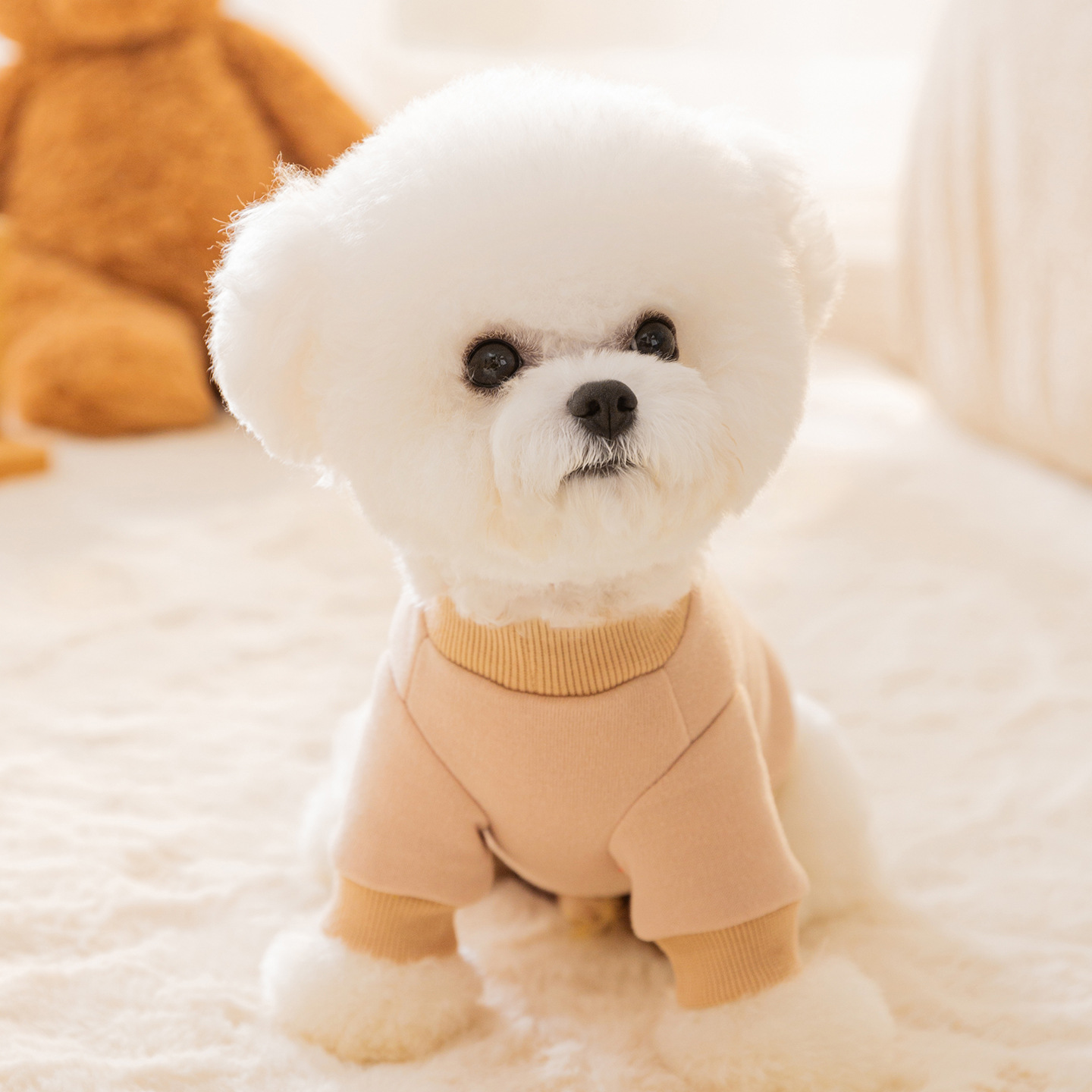 Otoño y invierno simplista lindos tres osos pequeños tracción delgada camisa de dos patas mascotas ropa de perro gato image 3