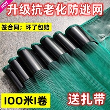 00��С���r���ӾW���Wţ�������з���~���r���Bֳ���ӾW����Ĥ