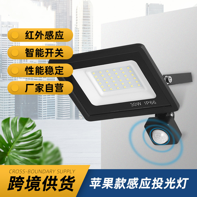 Foreign trade led induction small apple floodlight 50W100W outdoor waterproof corridor lighting engineering floodlight
