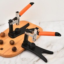 �����_�������P�ʮ�����ӄ����_�������ǳ����ӻ��ڸ���_�ڹ���